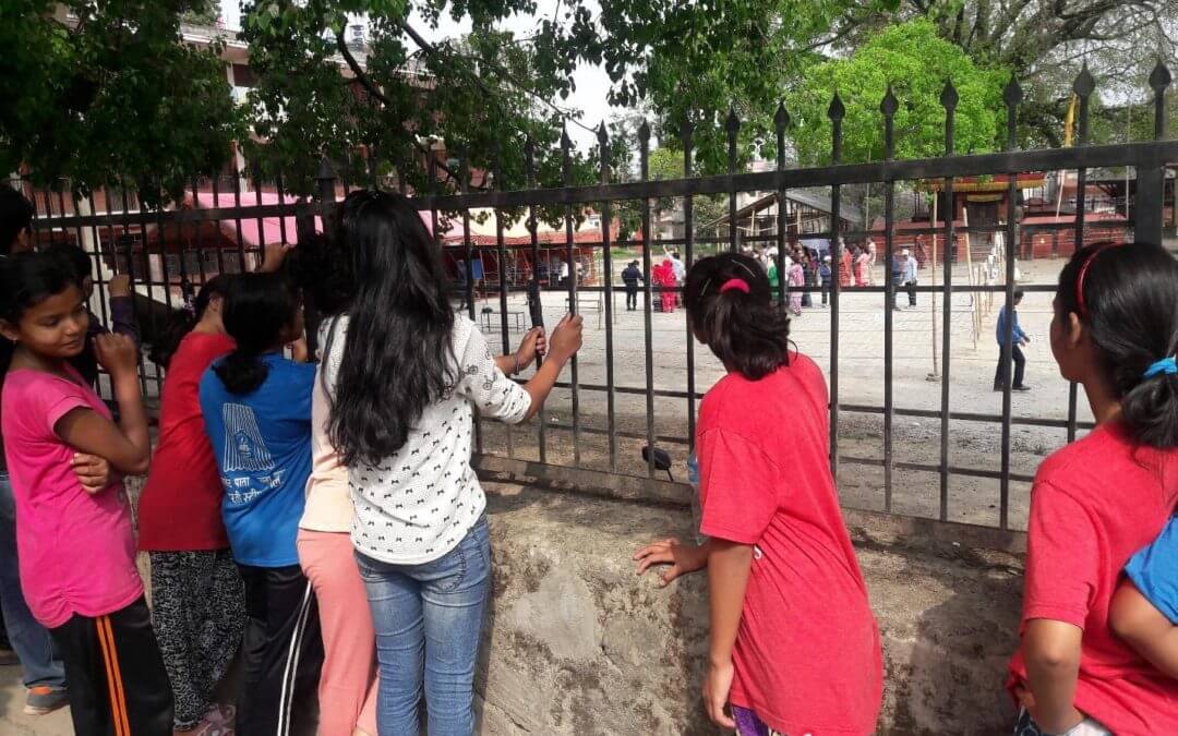Students Observe the First Elections Held in Nepal in 20 Years