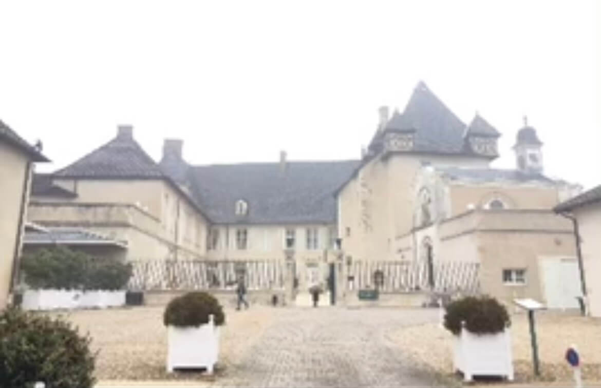 January Update From Ram in France